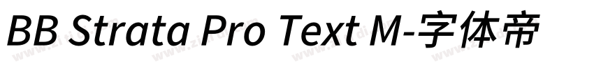 BB Strata Pro Text M字体转换